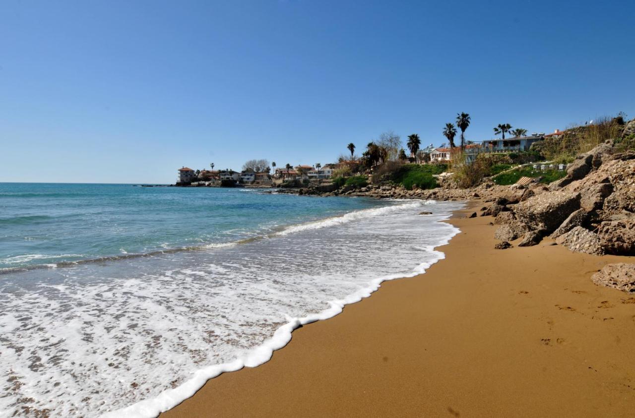 Lemon Boutique Otel سيدي المظهر الخارجي الصورة